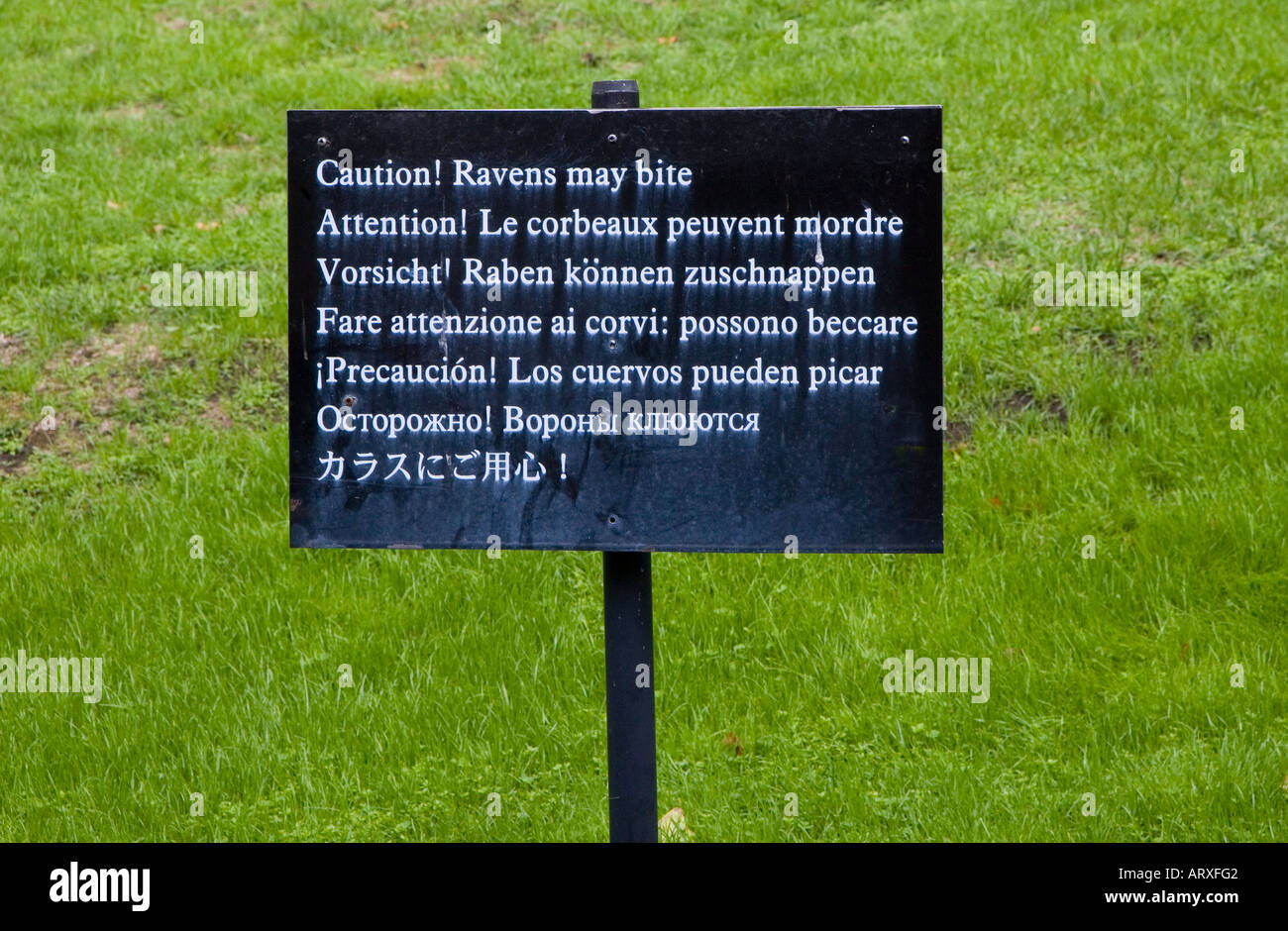 Tower of London Raven Sign Stock Photo