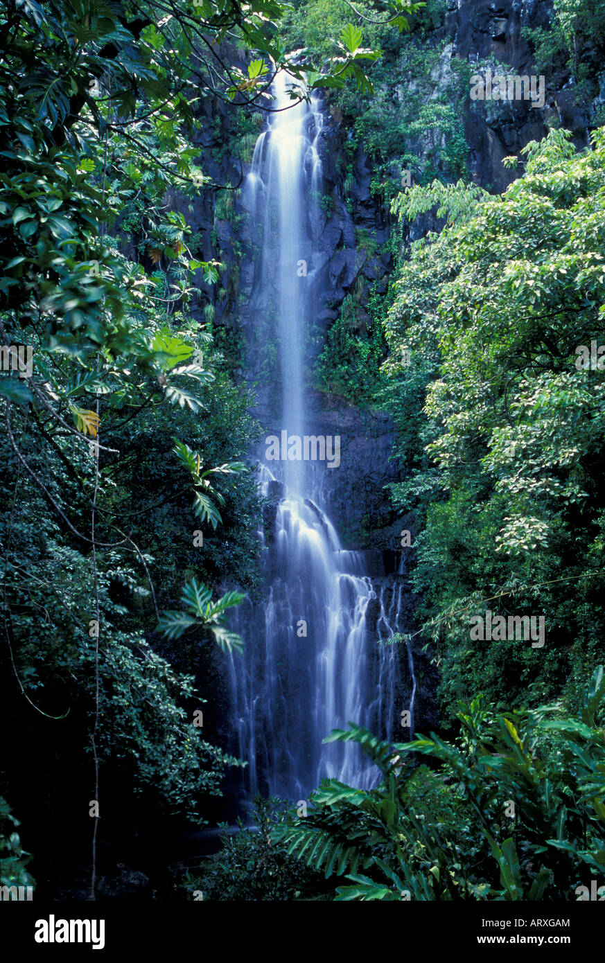 A Picturesque Waterfall In A Rainforest On The Road To Hana Maui a-picturesque-waterfall-in-a-rainforest-on-the-road-to-hana-maui