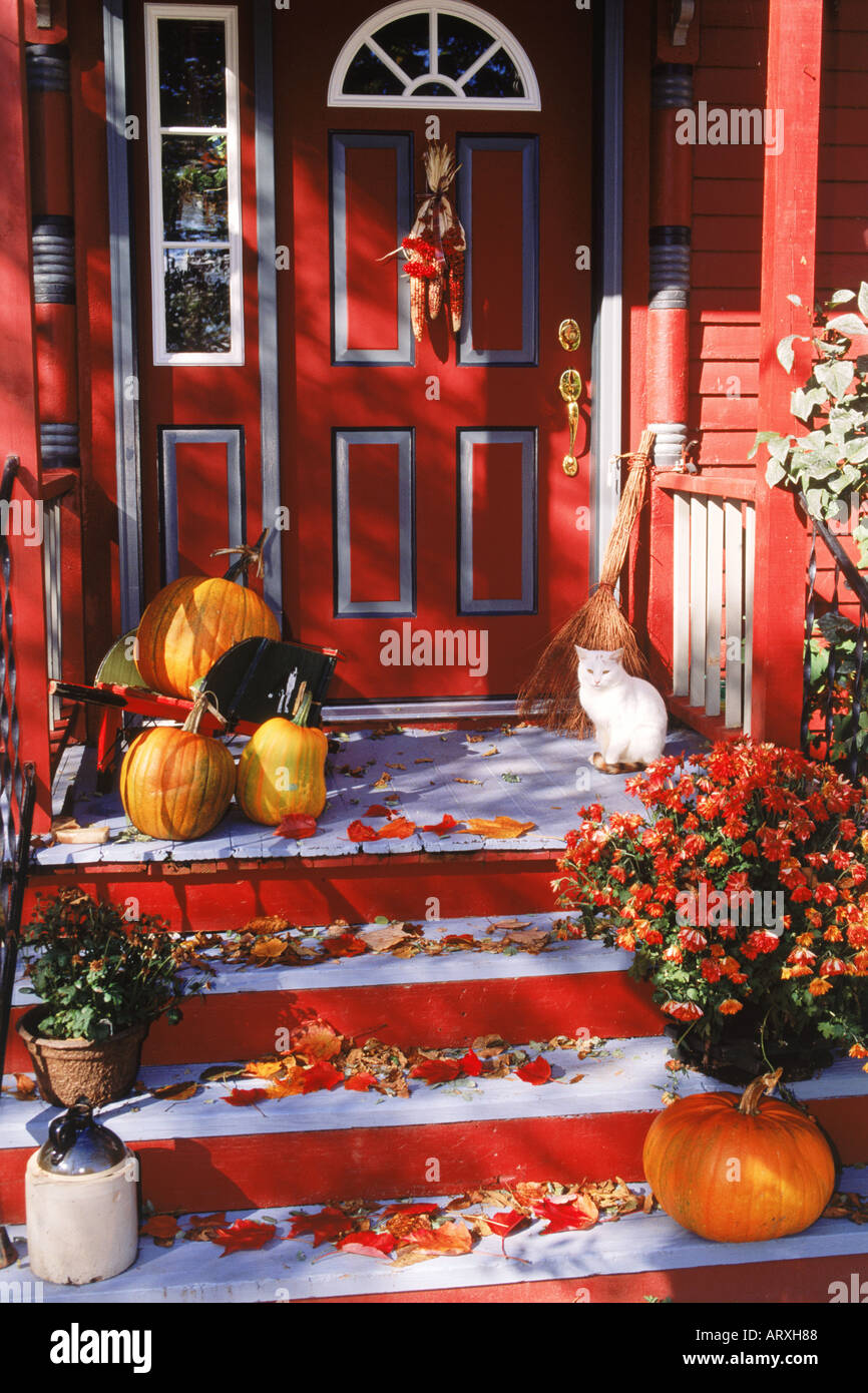 Autumn colors and Halloween feeling in New England with cat and pumpkins on front porch Stock Photo