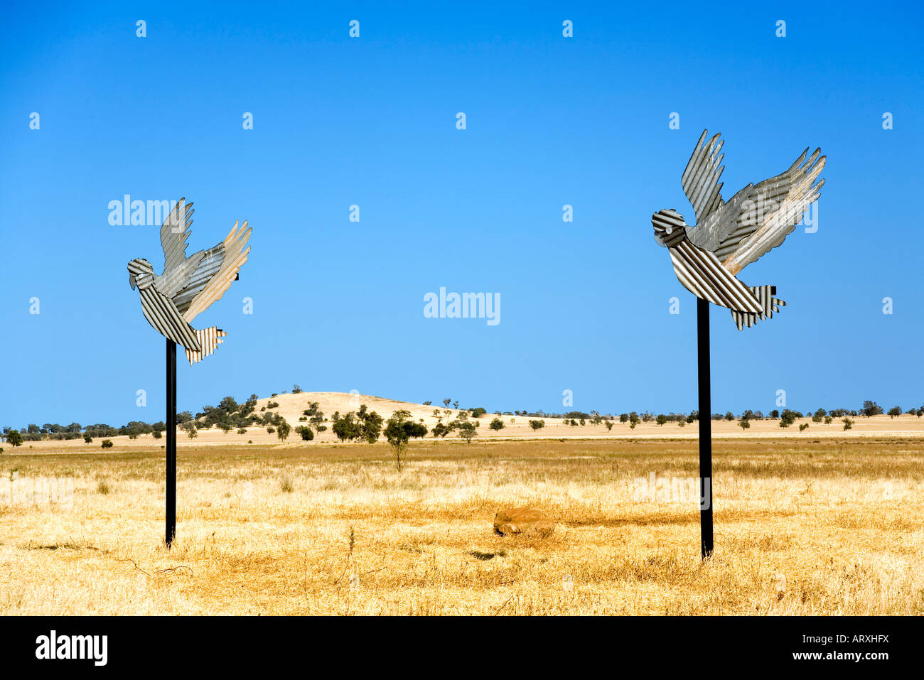 sculpture of a pair of corrugated iron cockatoos in outback Australia Stock Photo