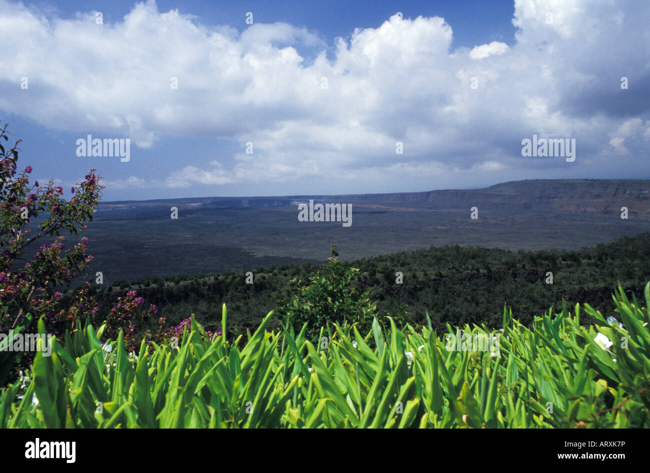 Kilauea Volcano, Hawaii Volcanoes National Park, Big Island Stock Photo