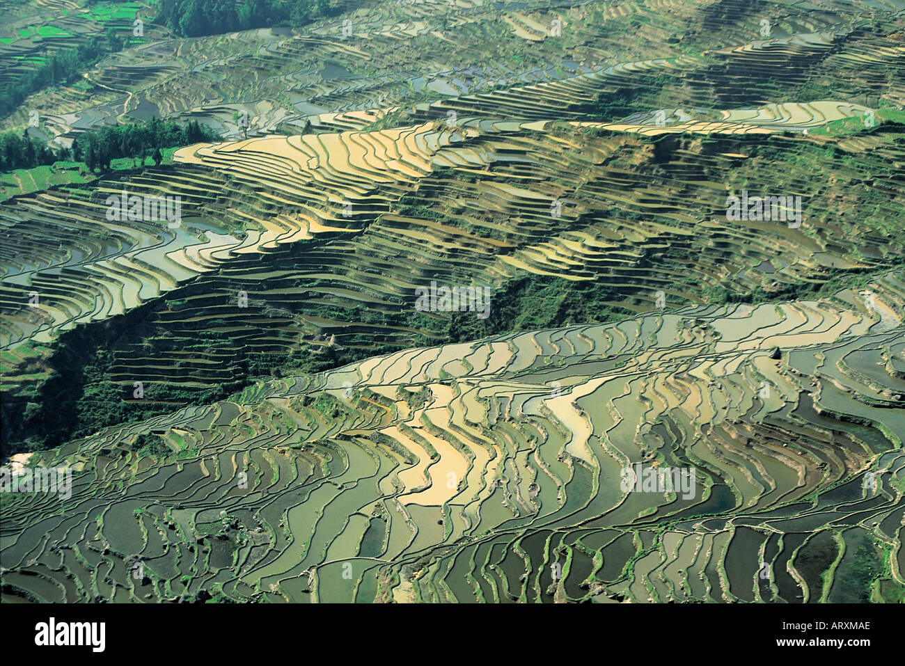 Yunnan province china hike hi-res stock photography and images - Alamy