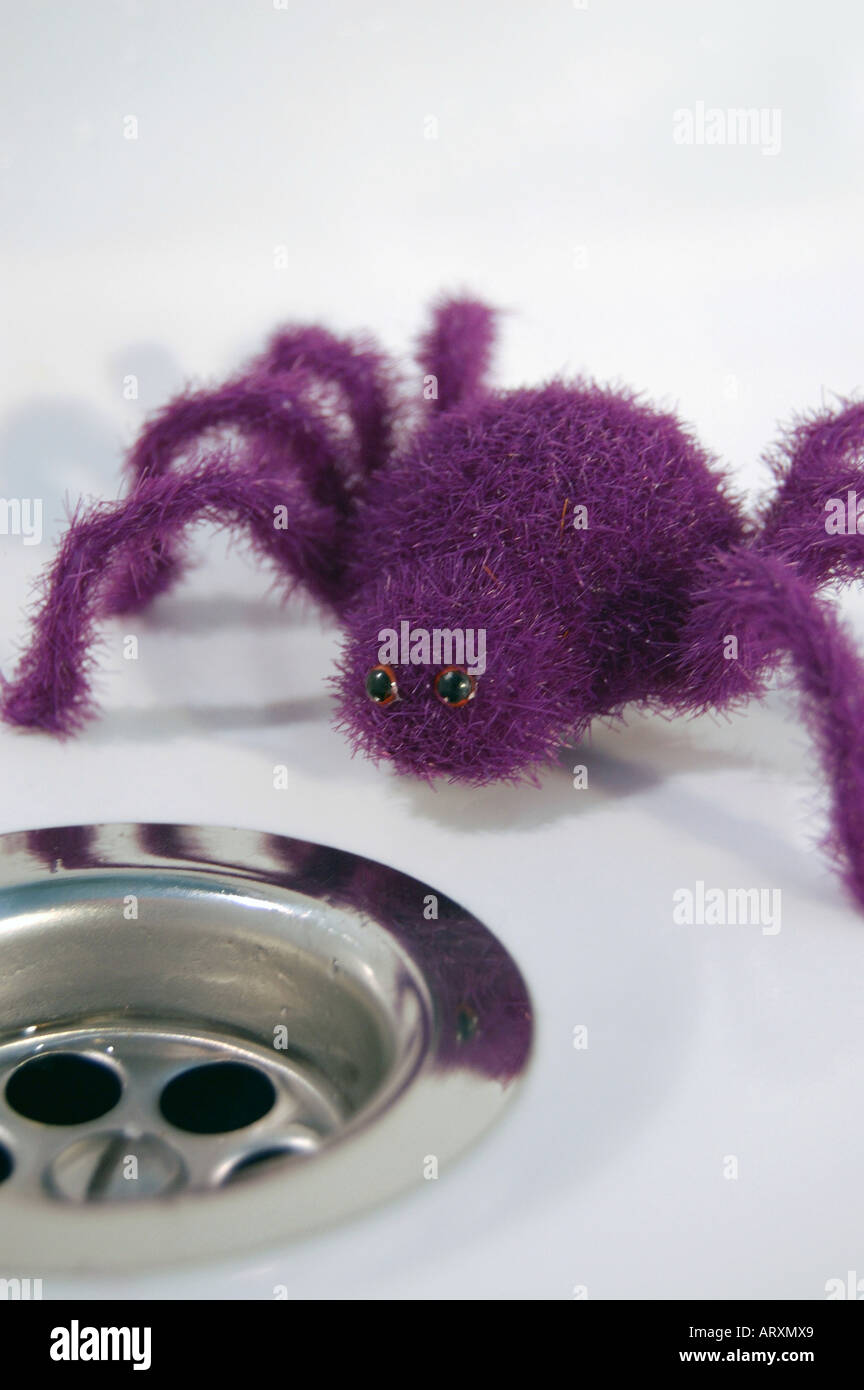 Spider in the bath Stock Photo Alamy
