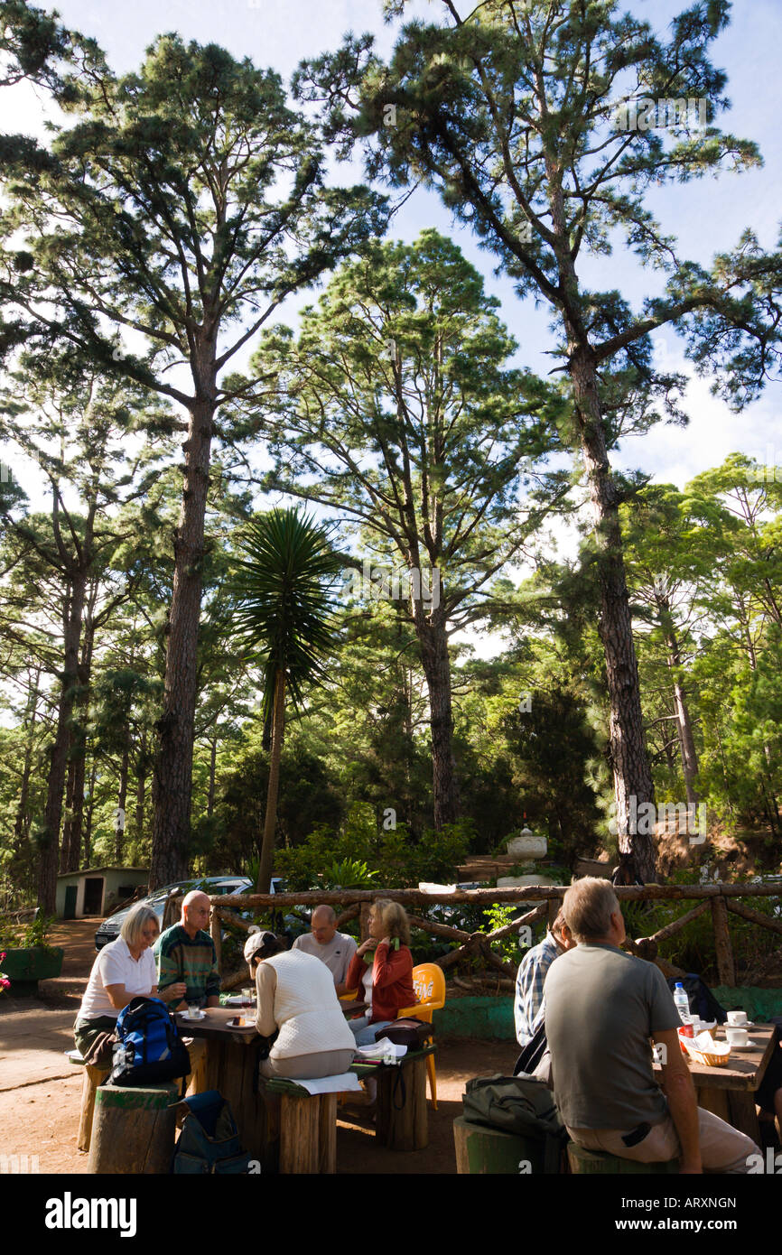 Tenerife woodland cafe on the TF 24 road from La Esperanza to Mount