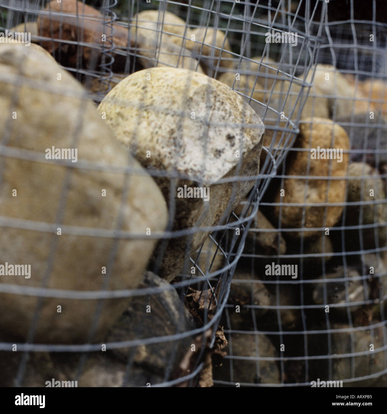 rocks in cages Stock Photo - Alamy