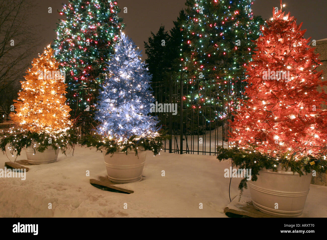 Christmas lights on trees on the streets of Montreal Stock Photo Alamy