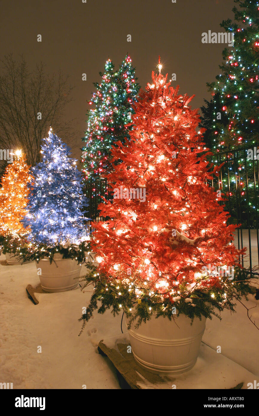 Christmas lights on trees on the streets of Montreal Stock Photo Alamy