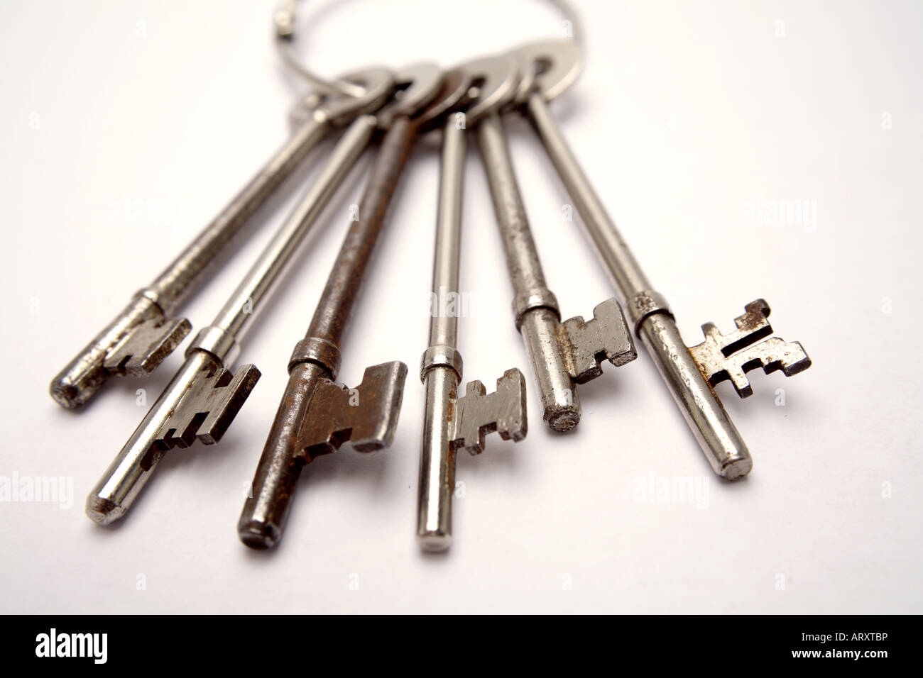 Keys on keyring Stock Photo Alamy