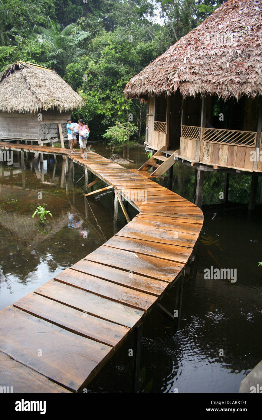 A lodge boardwalk at Cuyabeno National Park in the rain forest, Ecuador, South America Stock Photo