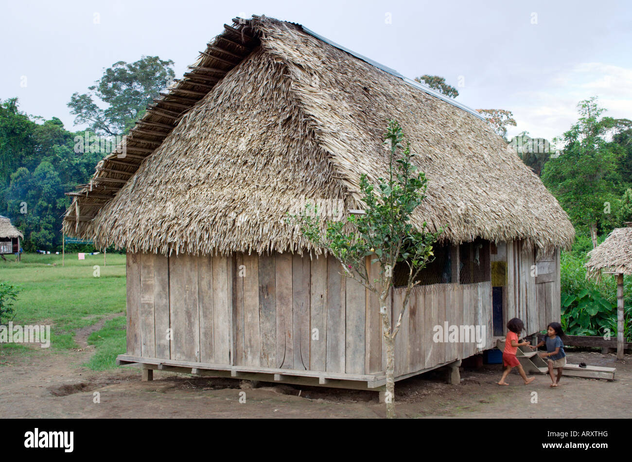 A house in Cuyabeno National Park in Amazon rain forest, Ecuador, South