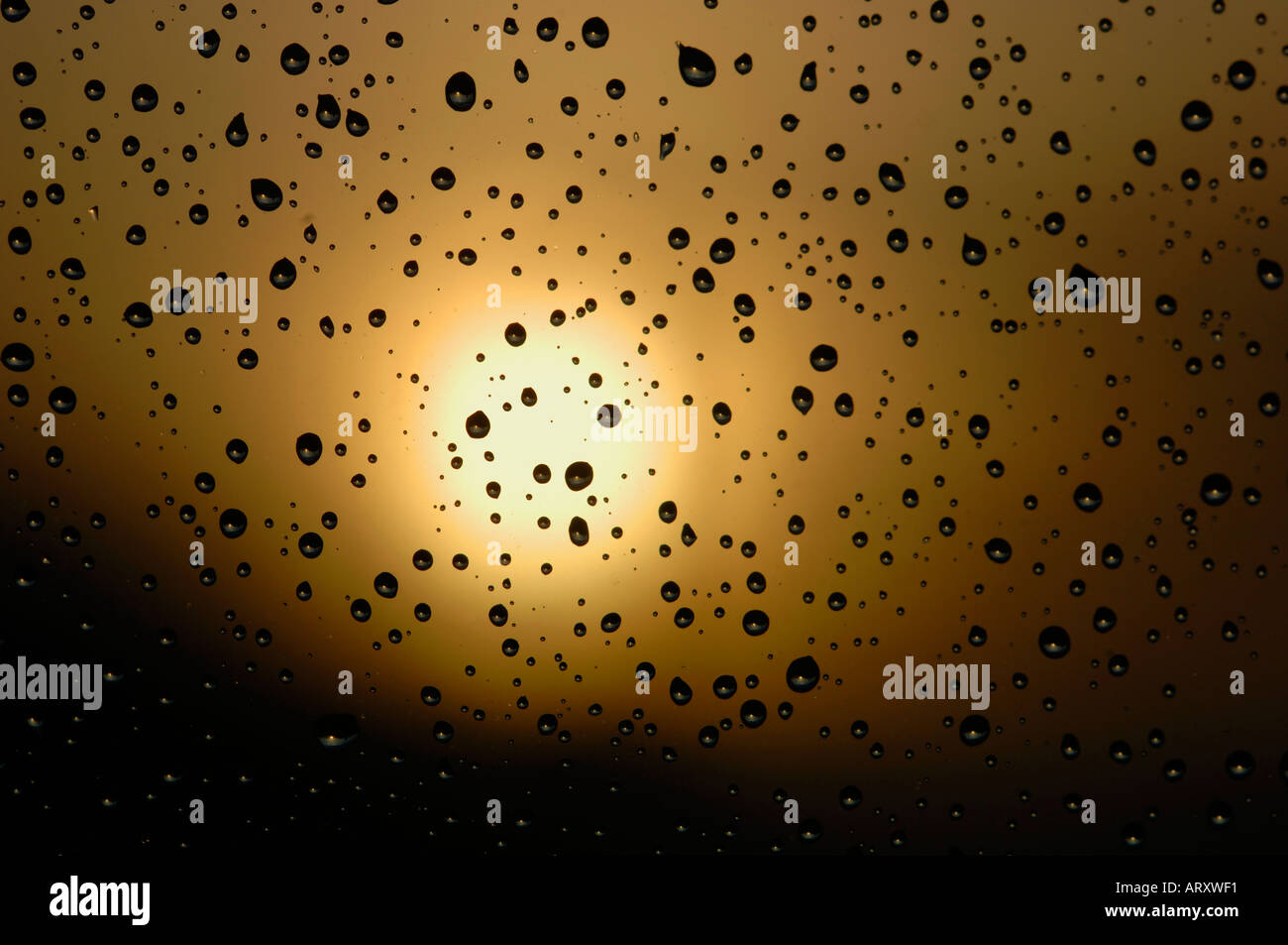 Raindrops On A Glass Window Stock Photo