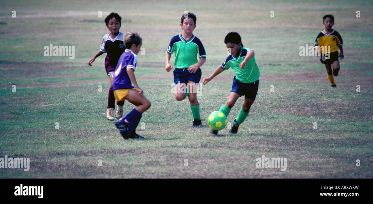 Group of five kids playing soccer, island of Oahu Stock Photo Alamy