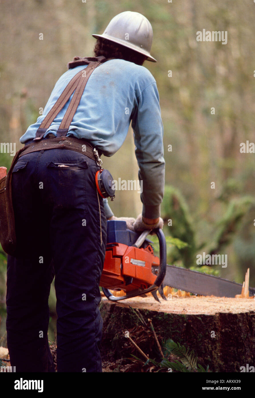 logger with chainsaw resting on stump of newly cut tree looking out
