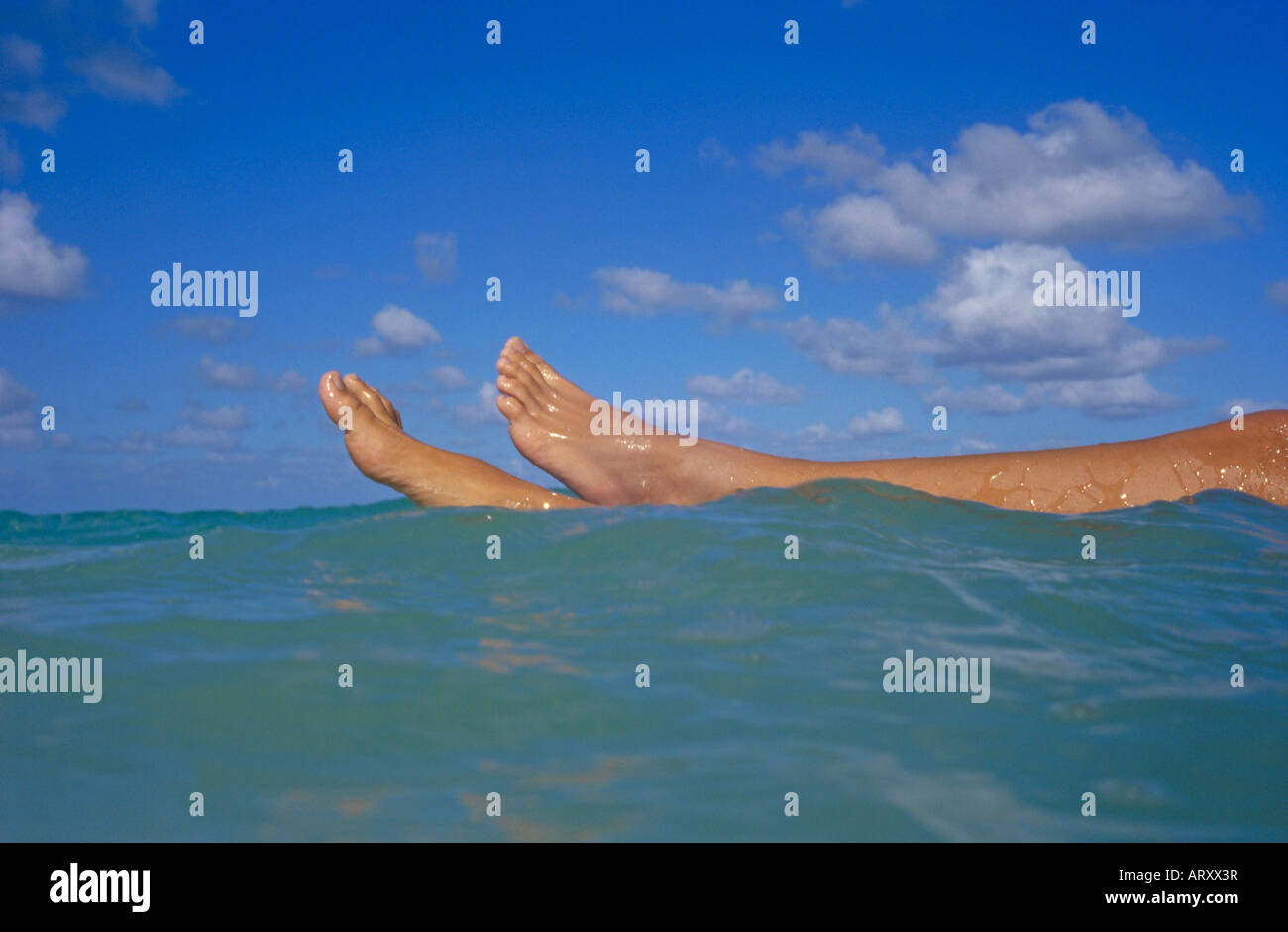 Womans legs floating in open ocean Stock Photo Alamy