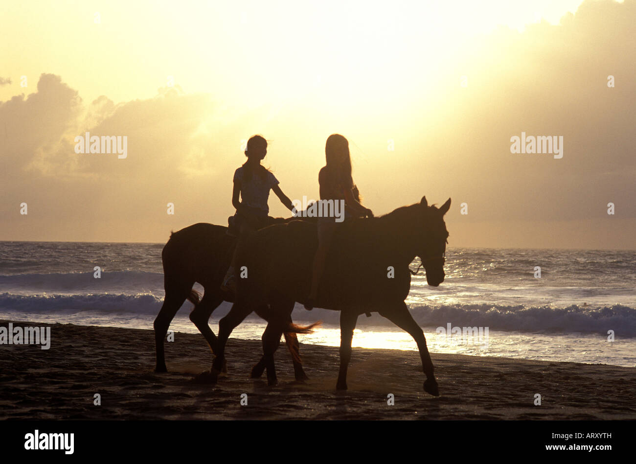 Two women horseback riding along the waters off sunset beach, Oahu ...