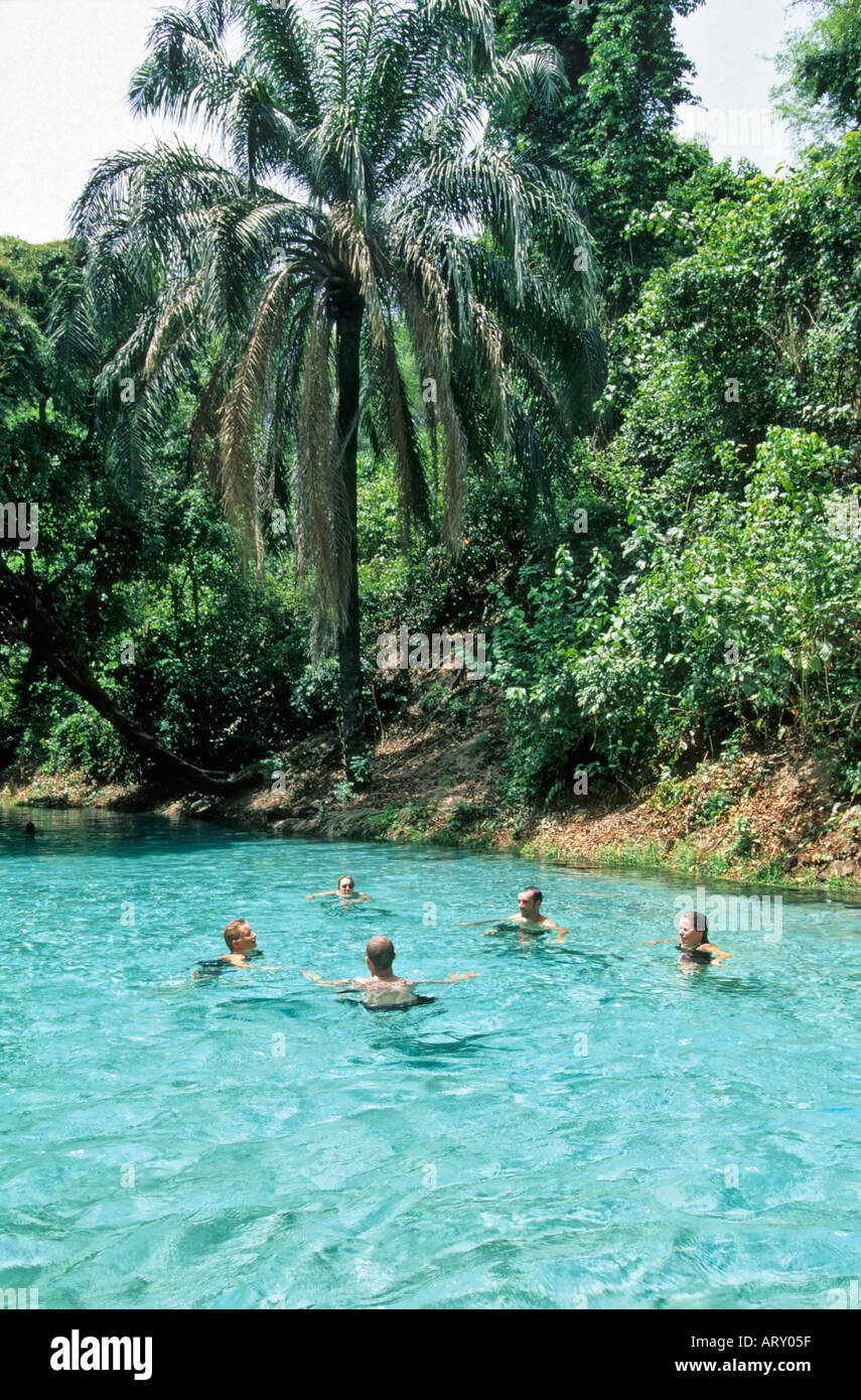 Wikki hires stock photography and images Alamy