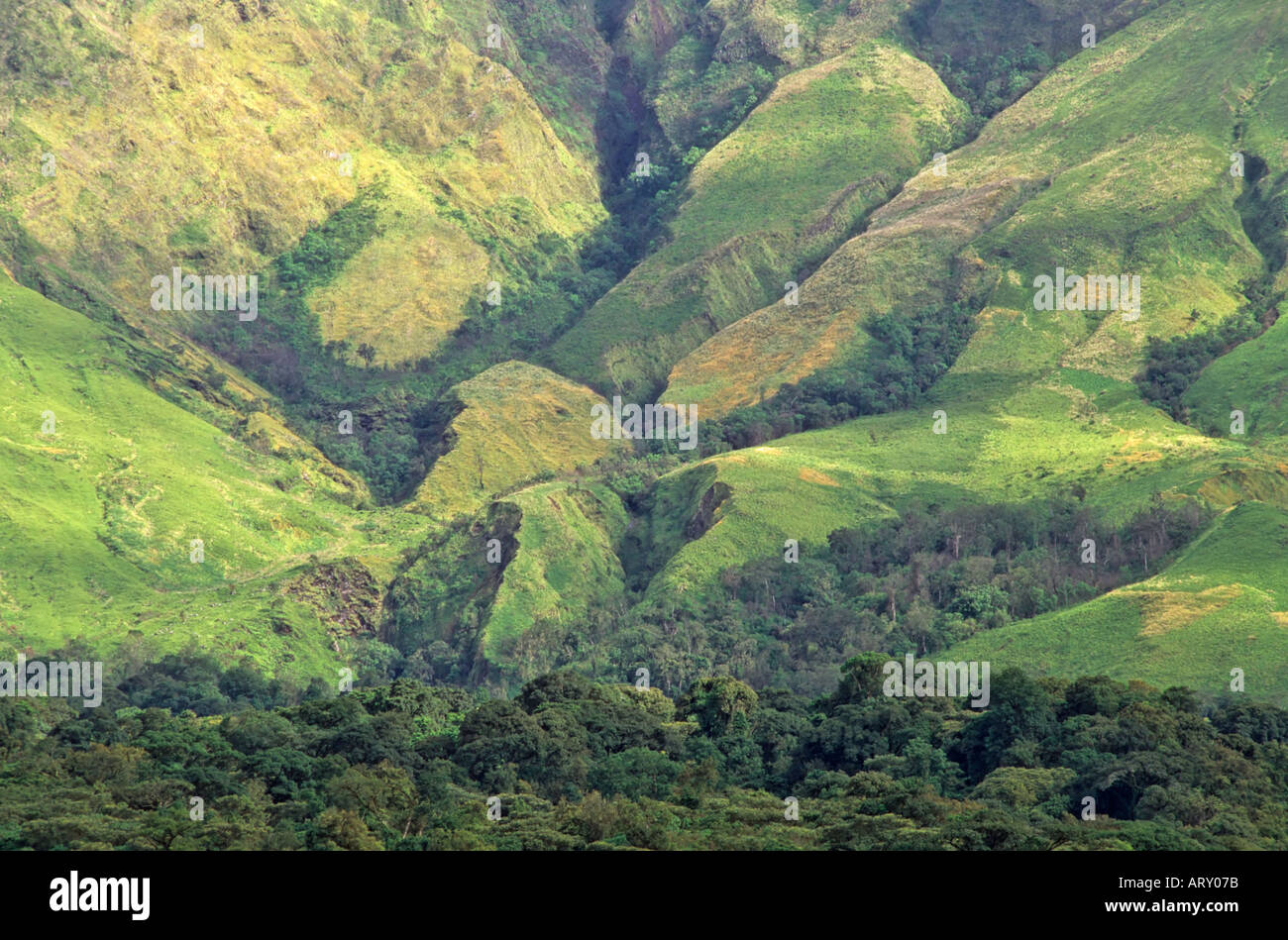 Lower slopes of Mount Cameroon, Cameroon Stock Photo