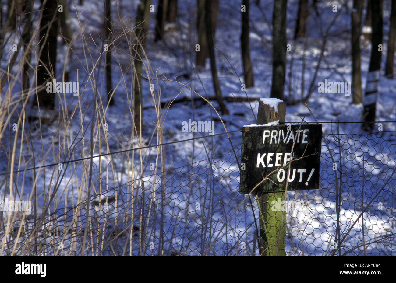 Treehousekeep Out Sign Keep out sign on entrance to a wood Stock Photo - Alamy