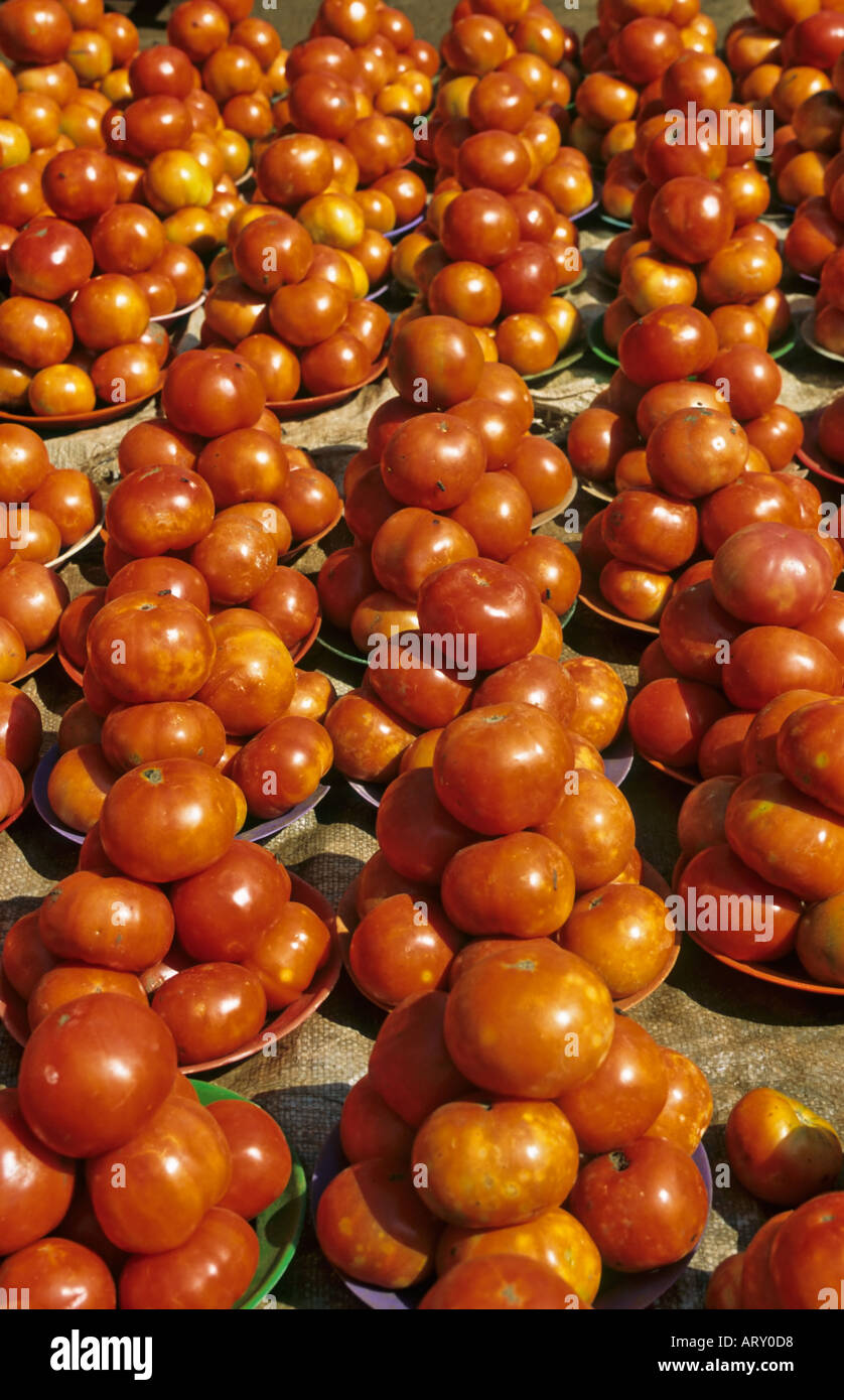 Tomatoes for sale, Jinja market, Uganda Stock Photo Alamy