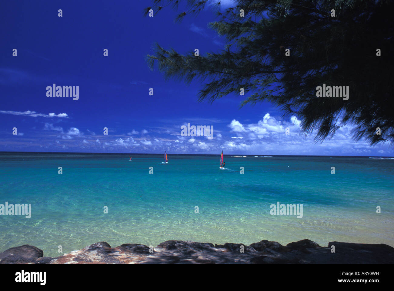 Anini Beach with beautiful blue sky and water Stock Photo Alamy