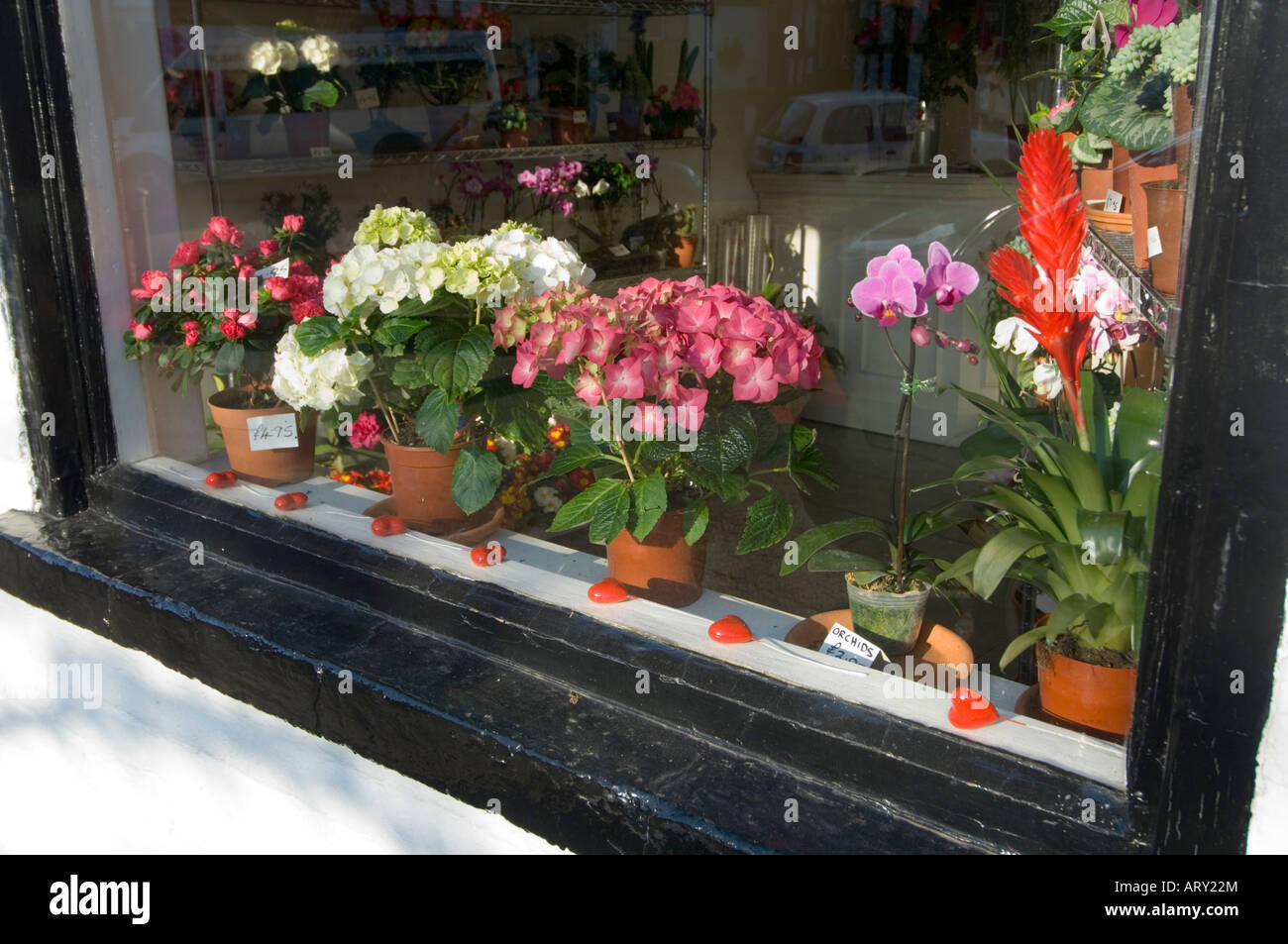 Flower Shop Shere Surrey England UK Stock Photo Alamy