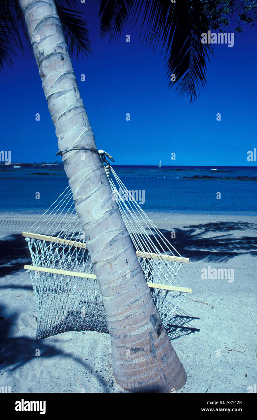 Empty fishnet hammock strung between two palm trees on a deserted white sand beach with the blue ocean steps away creates the Stock Photo