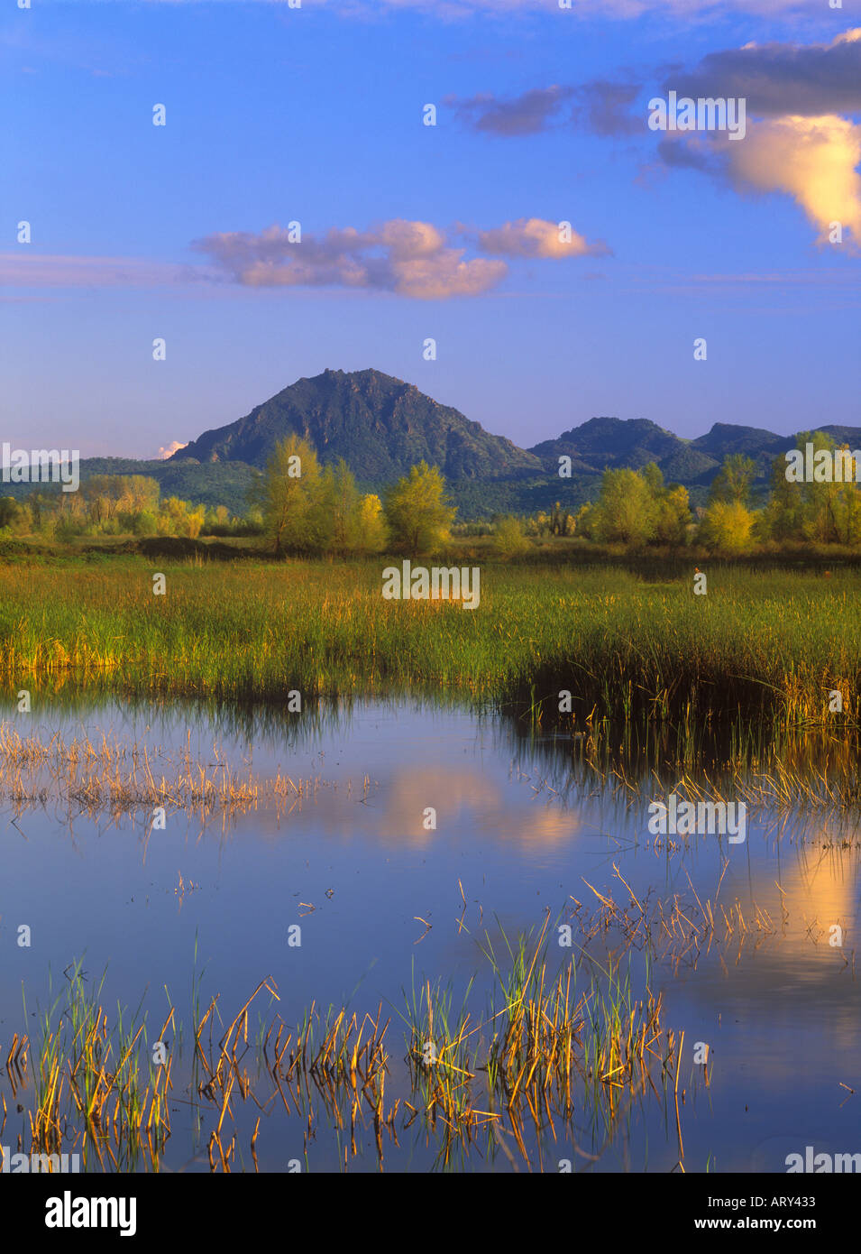 Sutter hi-res stock photography and images - Page 3 - Alamy