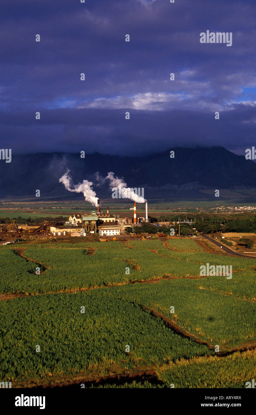 Hawaii maui sugar cane fields hires stock photography and images Alamy