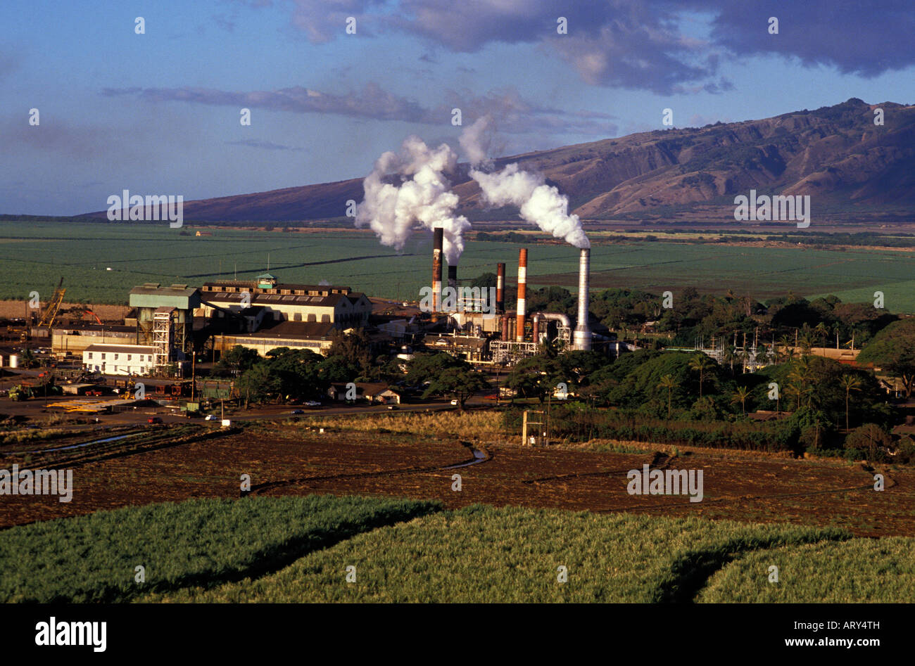 A sugar mill in Kahului, Maui, with fields of sugar cane in the