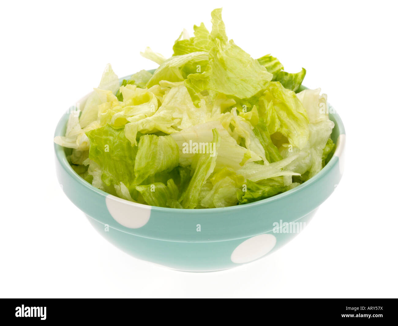 Iceberg Lettuce Leaves Stock Photo Alamy