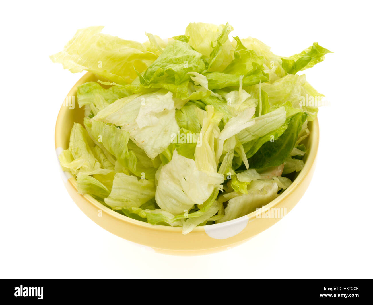 Iceberg Lettuce Leaves Stock Photo Alamy