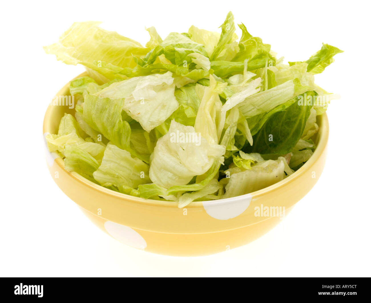 Iceberg Lettuce Leaves Stock Photo Alamy