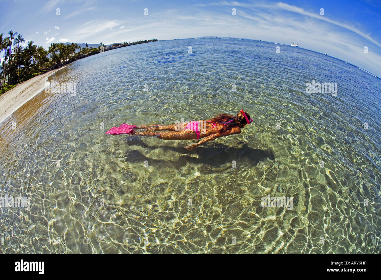 Maui snorkeler hi-res stock photography and images - Alamy