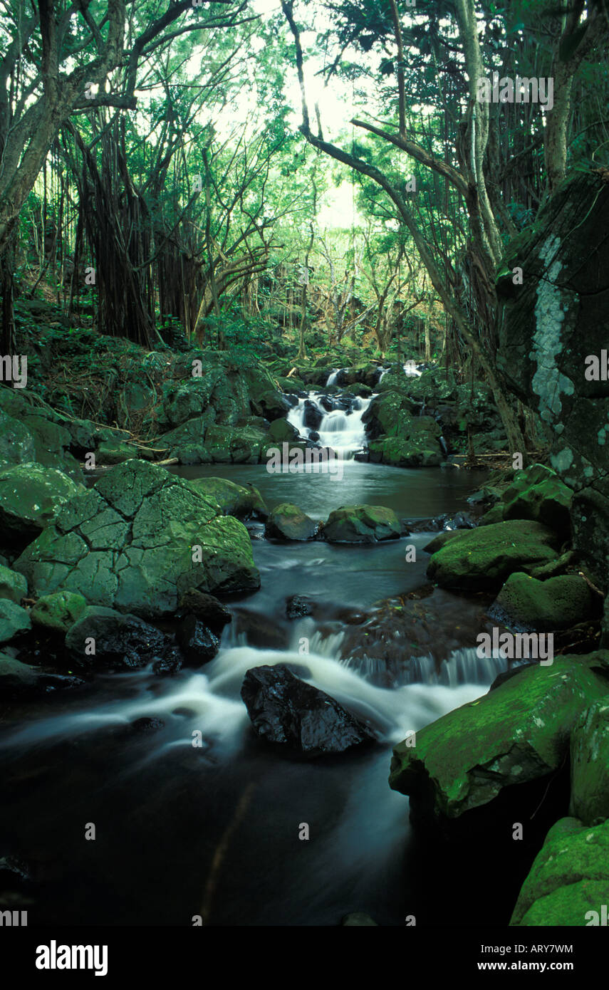 Kapena falls hires stock photography and images Alamy