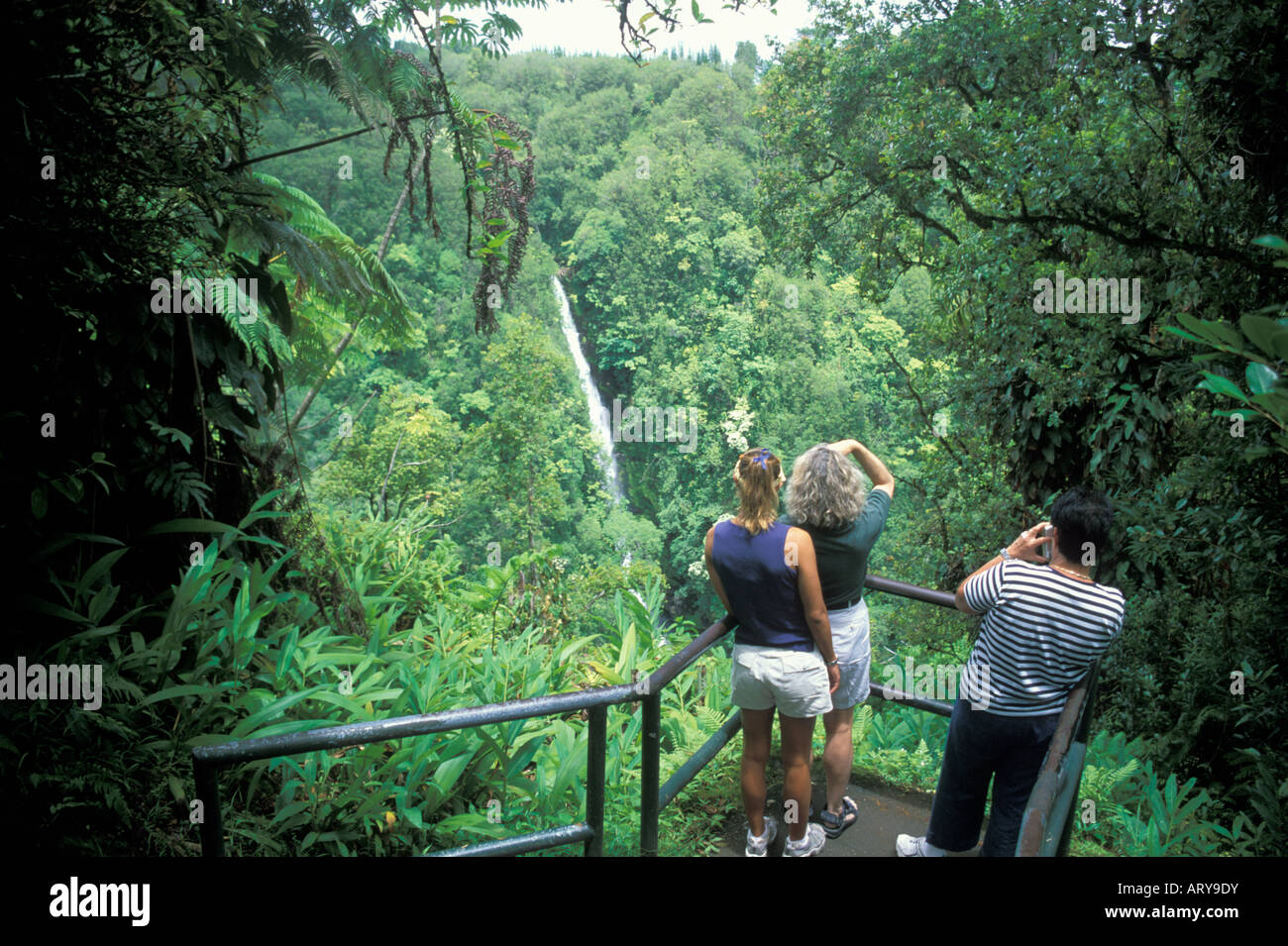 Sightseers stop to view scenic Kahuna Falls, just a short walk away from Akaka Falls in Akaka Falls State Park. Stock Photo