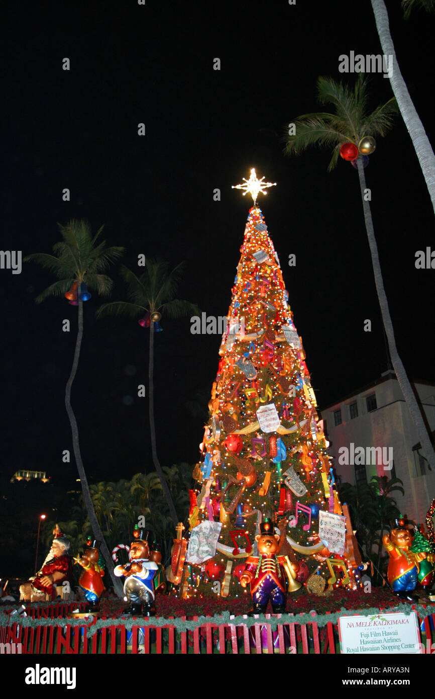 Honolulu Hale Christmas 2024 Calendar Tori Aindrea