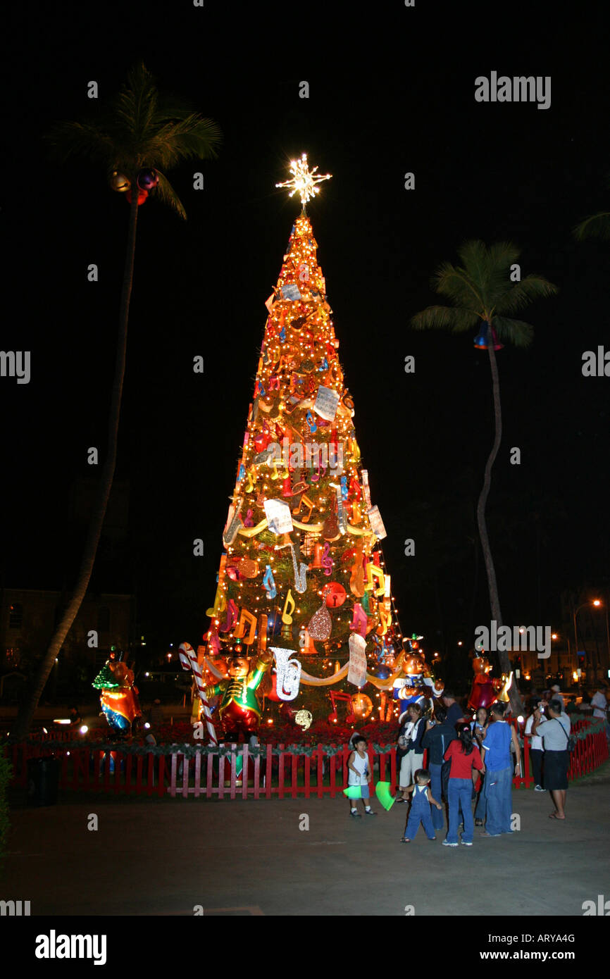 Hawaii christmas tree honolulu hires stock photography and images Alamy