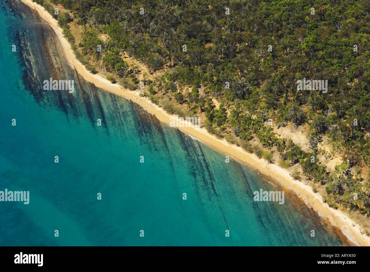 Big Woody Island Great Sandy Straits Queensland Australia aerial Stock Photo Alamy