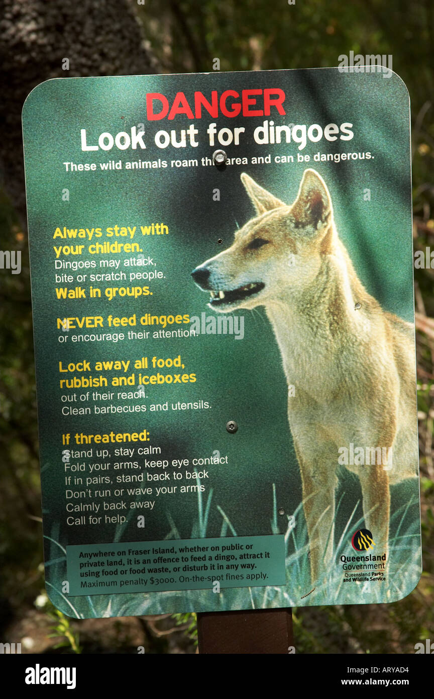 Dingo Warning Sign K'gari / Fraser Island Queensland Australia Stock