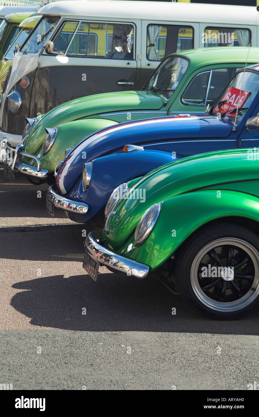 Line of Volkswagen VW Beetles showing the front of the vehicles. Stock Photo