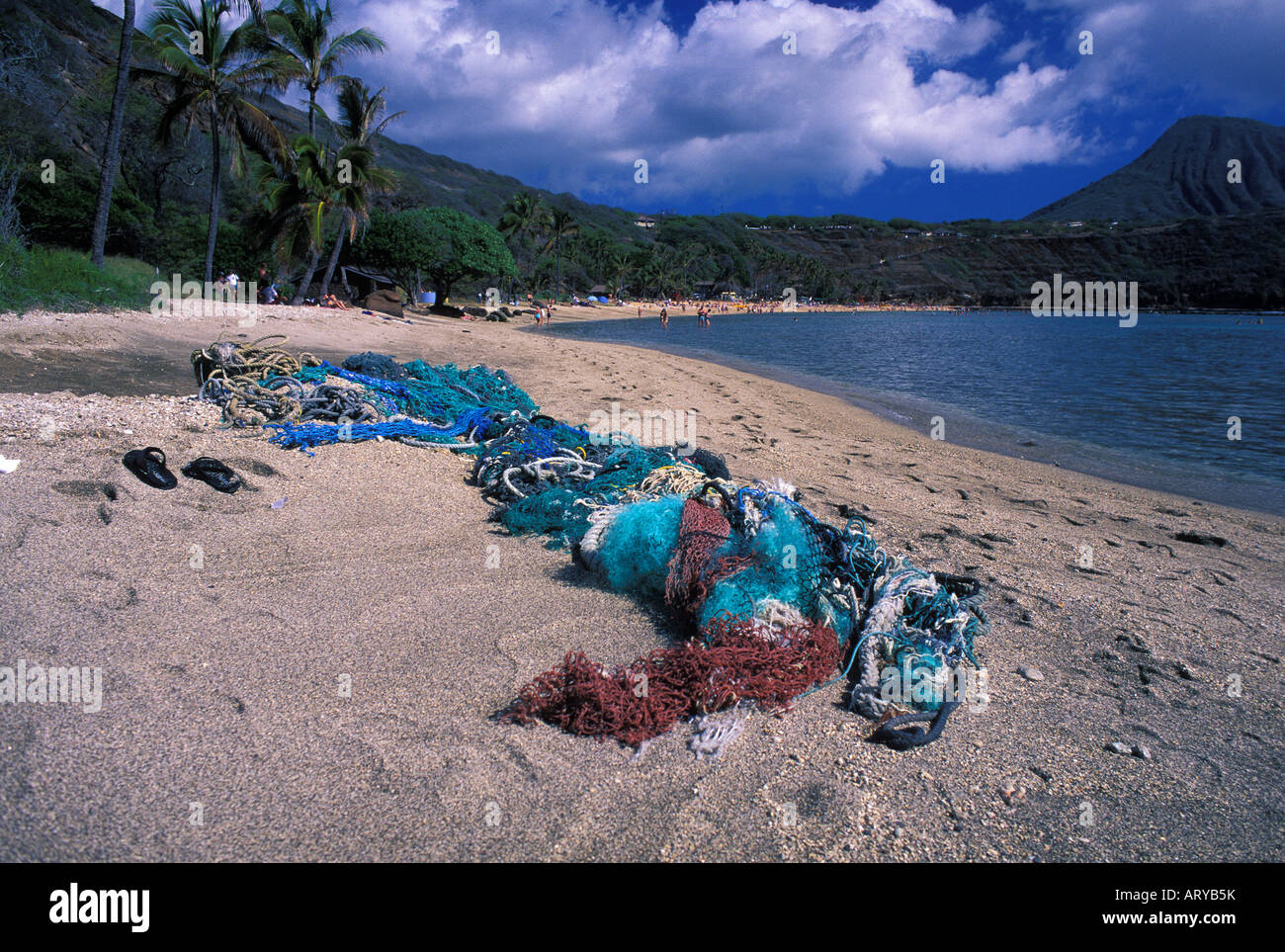 Discarded fishing nets entangle in coral kill reef fishes or wash up on Hawaii's pristine