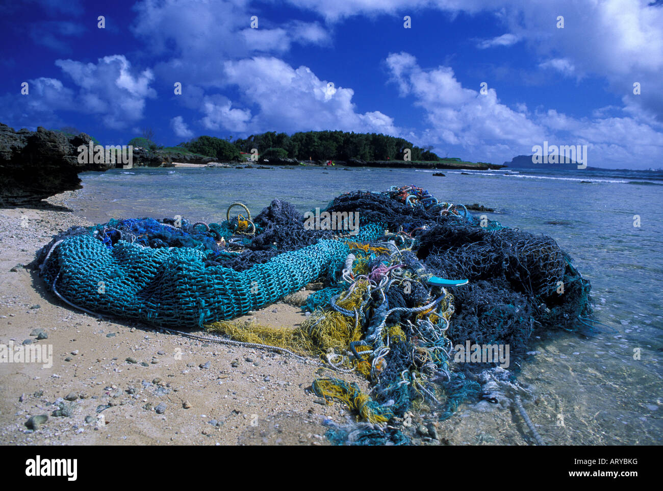 Discarded fishing nets entangle in coral or wash up on beaches and harm