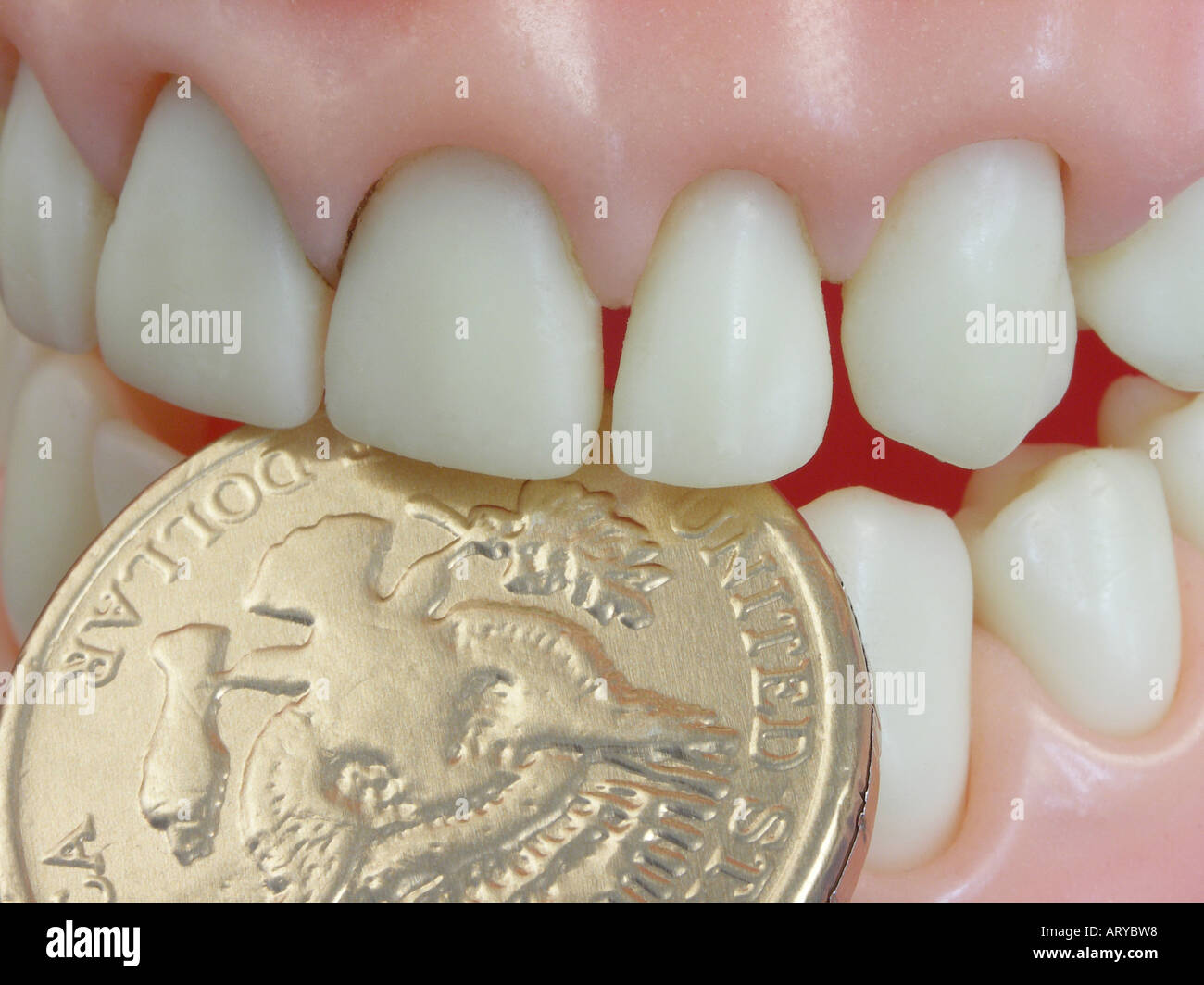 Teeth Biting Quarter Stock Photo Alamy