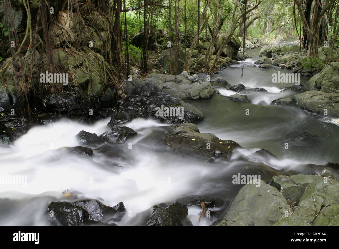Scenic streams and waterfalls just below Kapena Falls near the Pali