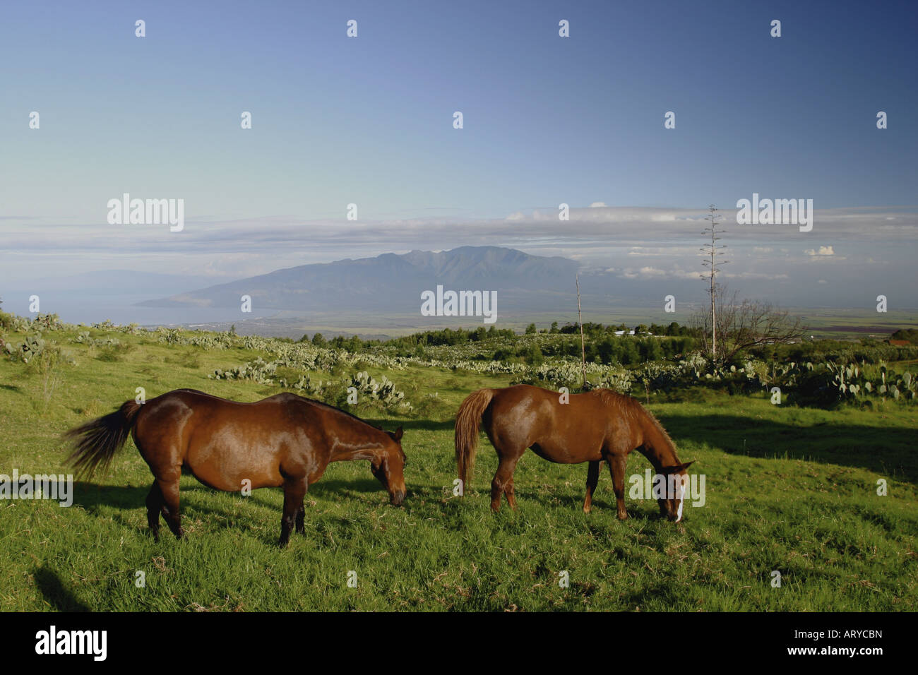 Maui scenics attractions hi-res stock photography and images - Alamy