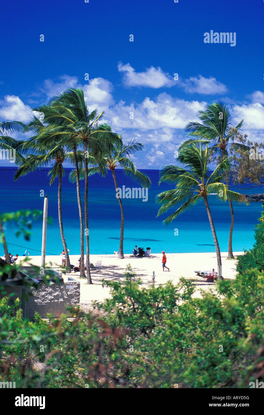 Beautiful Waimea Bay Beach Park with it's warm sands, blue waters and