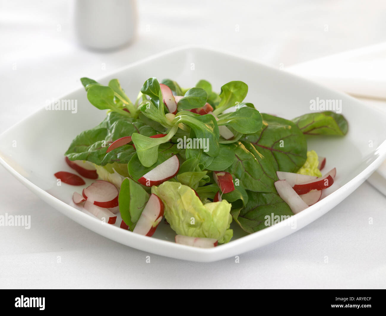 leafy salad Stock Photo