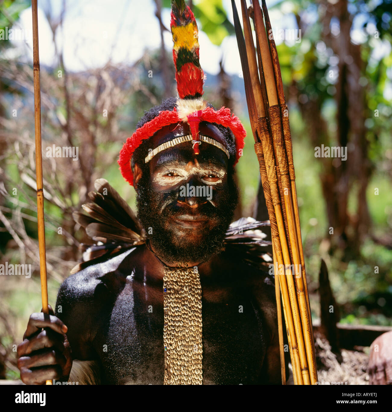 Dani tribesman dressed for mock battle Stock Photo