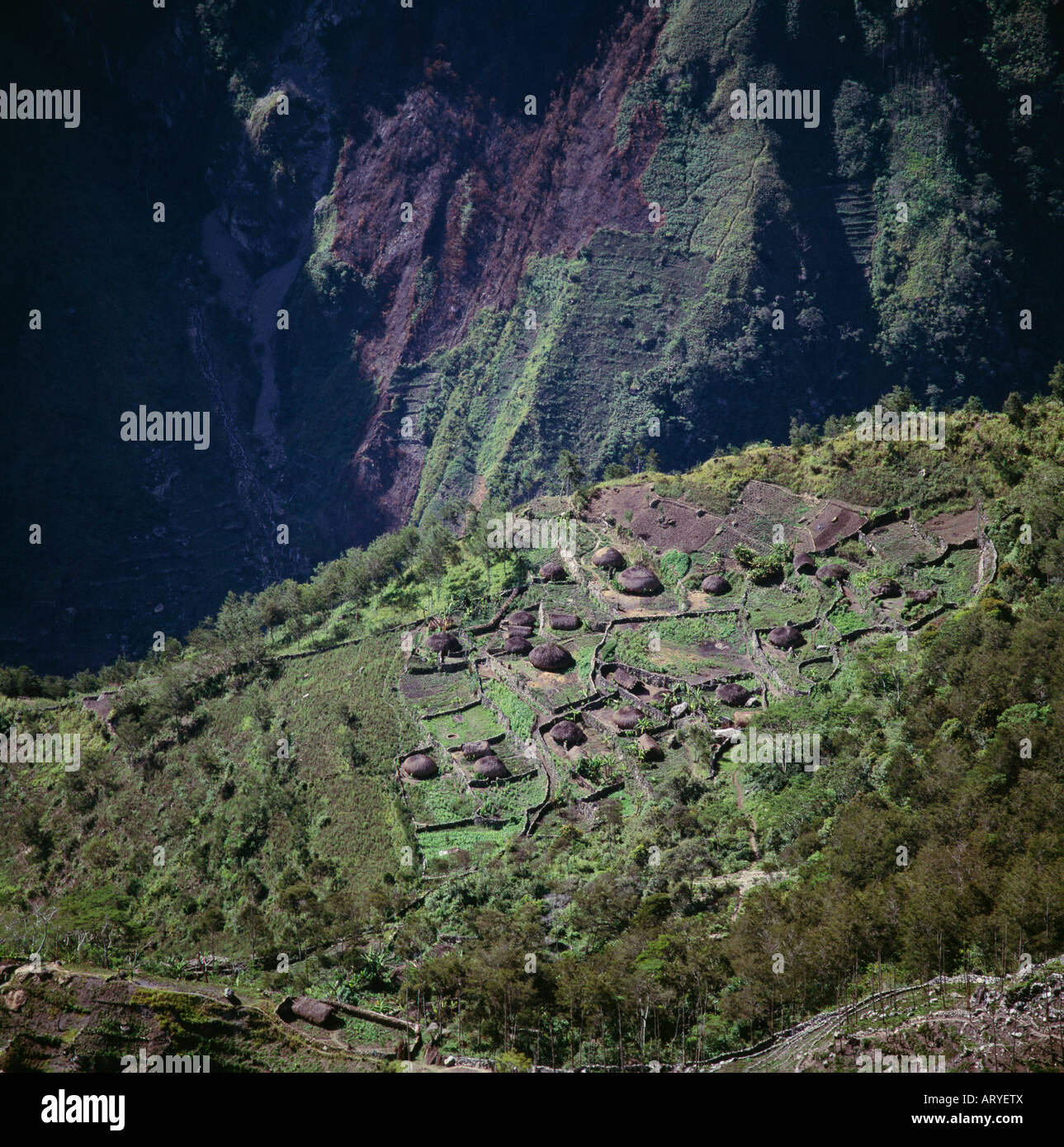 Aerial view of traditional dani village Stock Photo