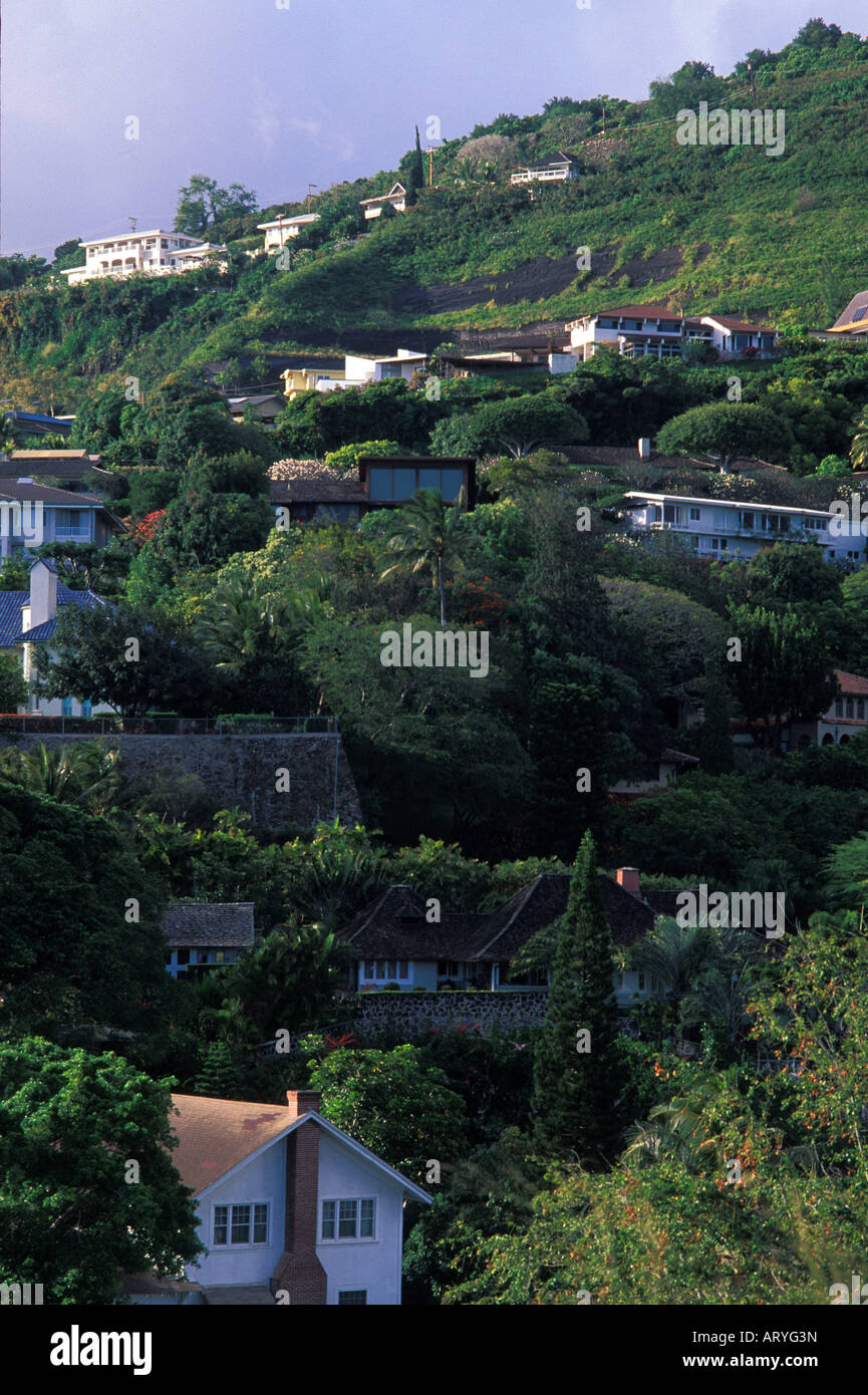 View of the houses in beautiful Manoa valley Stock Photo Alamy